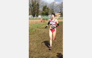 Championnats de France de Cross 