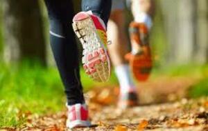 Nouvelles rubriques !