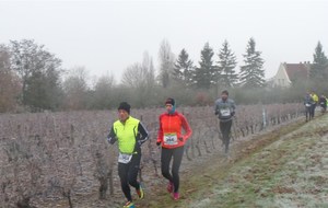 5a271d1a0f4ee_20171203100753.jpg