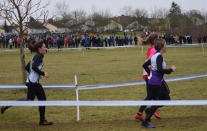 5a6e368962966_DSC0005.jpg