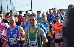 5ab7fc1219992_DSC0419.jpg