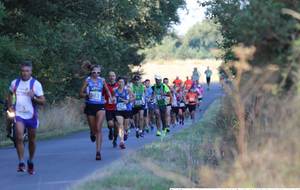 5b9b4f54152ee_IMG4546.JPG