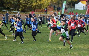 5bf1d83f084dd_DSC0326.jpg