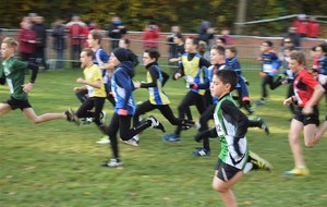5bf1d8410091f_DSC0327.jpg