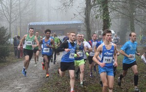 5c18112b426ef_DSC0352.jpg