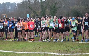 5c4588d8e7049_DSC0058.jpg