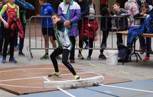 5c5752859038e_DSC0004.jpg