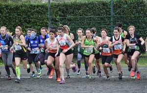 5c575388eba53_DSC0088.jpg