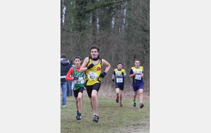 5c582f692589e_20190202CrossRegMiM461.jpg