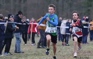 5c582f6fe4e01_20190202CrossRegMiM487.jpg
