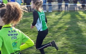 5c6dc53f16fcc_20190217101547.jpg