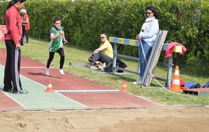 5ccf2141c3303_DSC0800.jpg