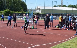 5cd90c5305e07_DSC1185.jpg