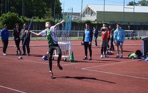 5cd90c55da6ee_DSC1186.jpg
