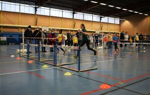 61af1d105134a_DSC1013.jpg