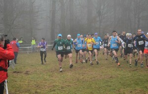 61e6d1e18825c_DSC0229.jpg