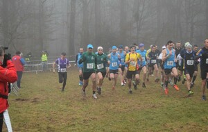 61e6d1e1ba924_DSC0230.jpg