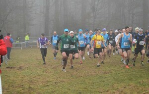 61e6d1e1e3888_DSC0231.jpg