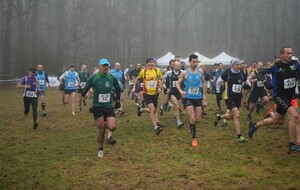61e6d1e21819c_DSC0232.jpg