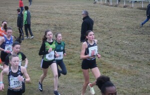 Inter de Cross, l'ASF et 1800 coureurs ! 