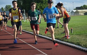 Corpopetrulis, Victoires et podiums !