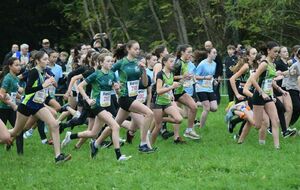 Cross National de l'Erdre