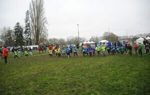 CROSS Amboise