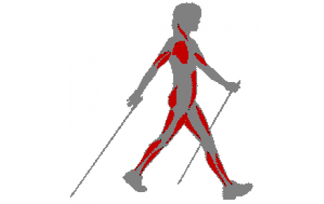 Marche Nordique en vidéo, suivez la guide ! 