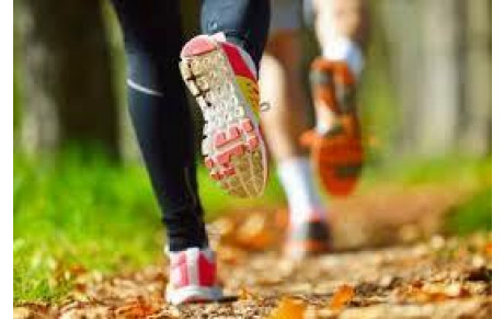 Nouvelles rubriques !