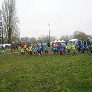 CROSS Amboise
